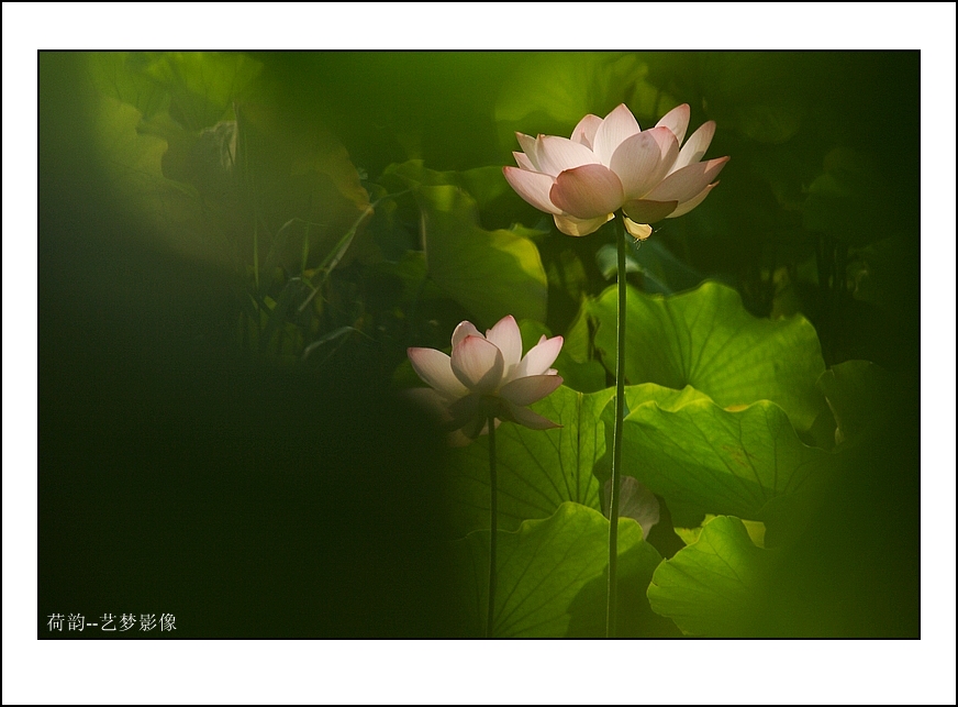 IMG_7050_B.jpg