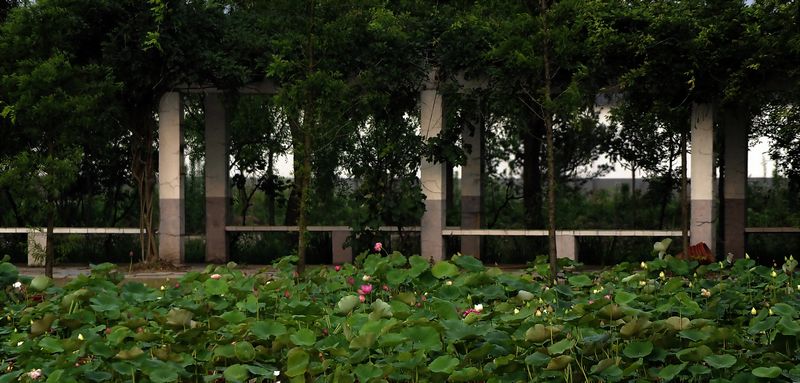 յĵ_DSC3348.jpgOK.jpg