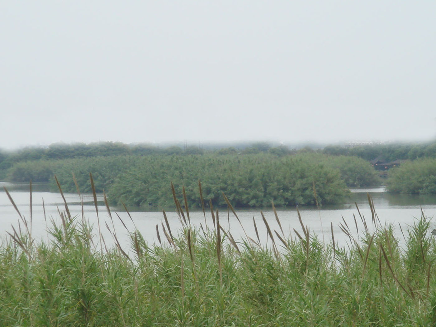 DSC07409.JPG