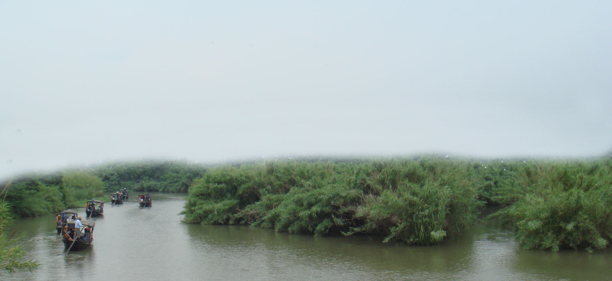  DSC07422.JPG