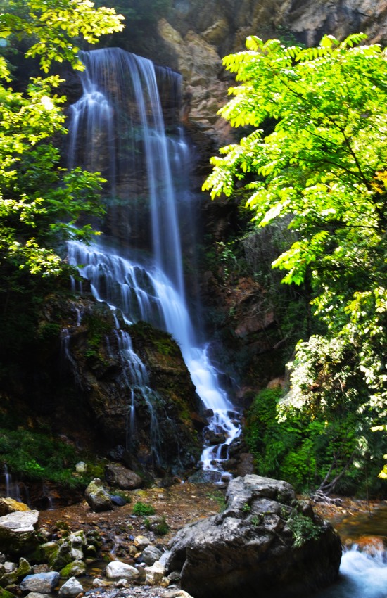 DSC_4964.jpg