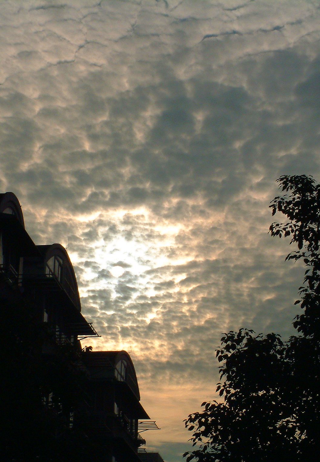 DSCF0086_conew1.jpg