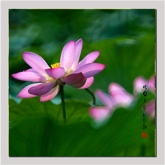 ӳպɻ003.jpg