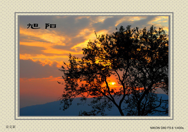 DSC_0530_conew3.jpg