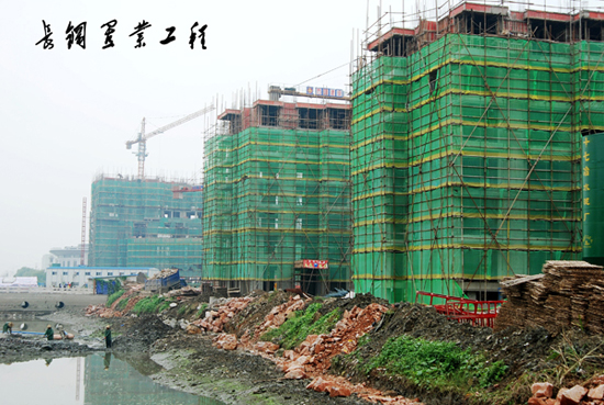  DSC_0655_conew1.jpg
