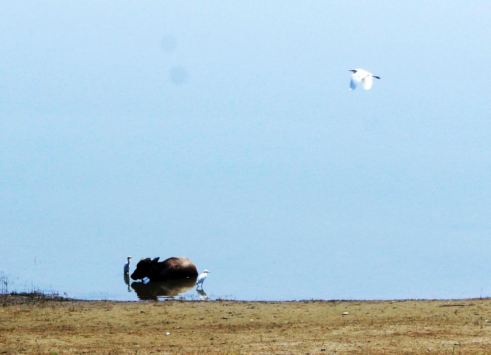 _DSC6136_conew2.JPG