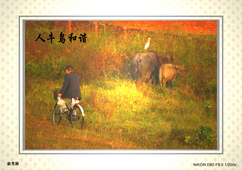 DSC_1223_conew4.jpg