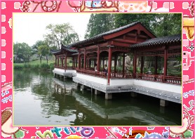 DSC00127_conew1.JPG