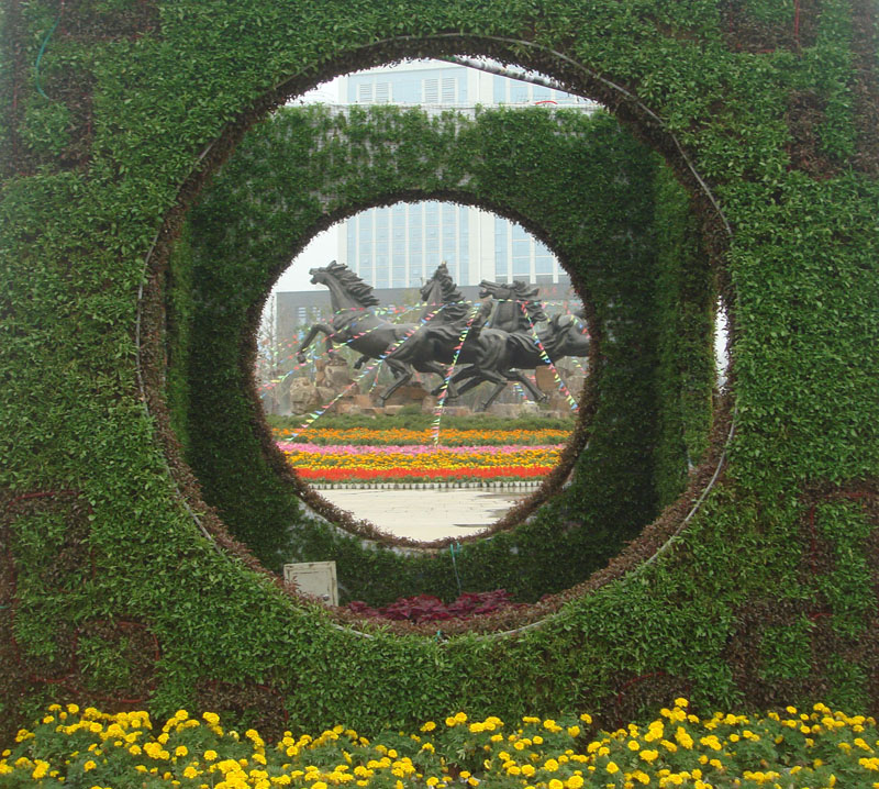  DSC08755.JPG