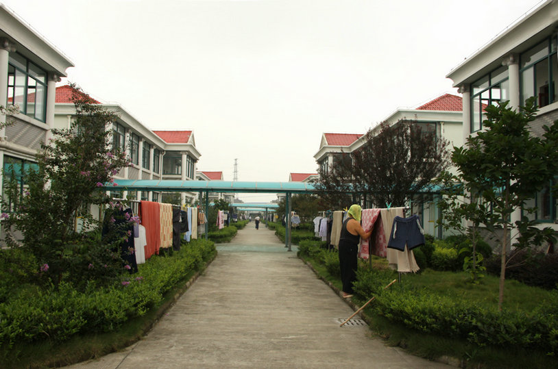 IMG_9927.jpg