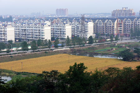 DSC01550.JPG