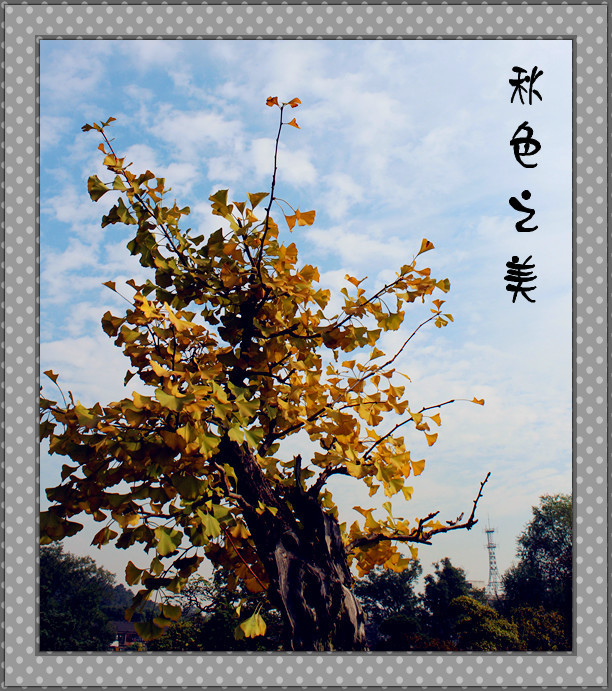 ɫ֮