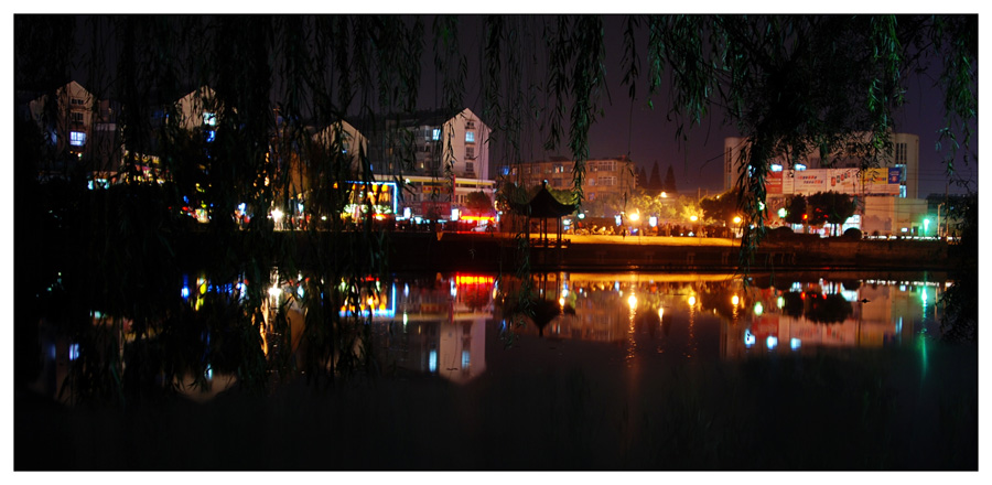 DSC_2172_conew1.jpg