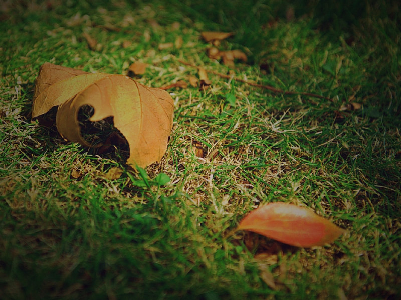 ǸڣҶӼݡ