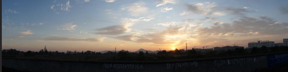 DSC01988_conew1.jpg