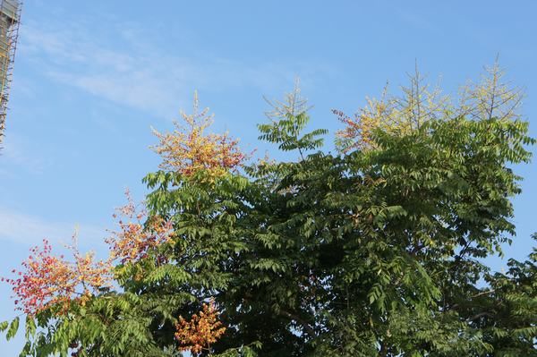 DSC01782.JPG