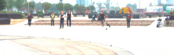 DSC02077_conew1.jpg