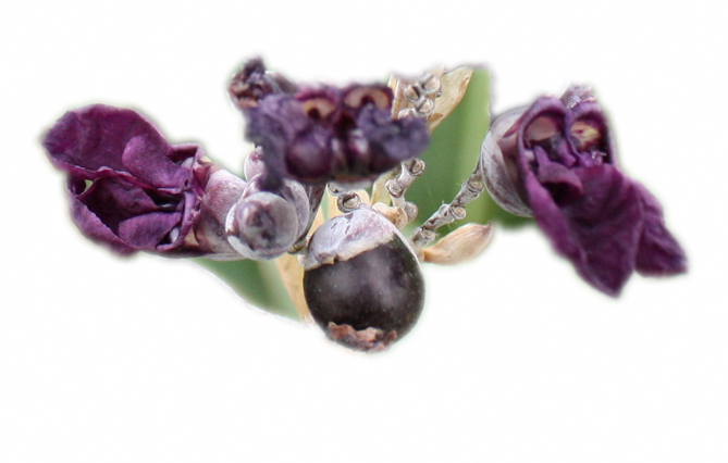 IMG_4853_conew2.png