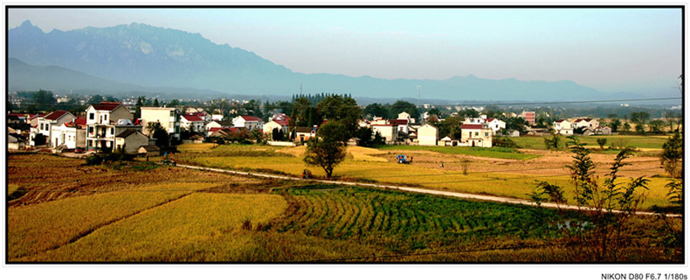DSC_2311_conew1.JPG