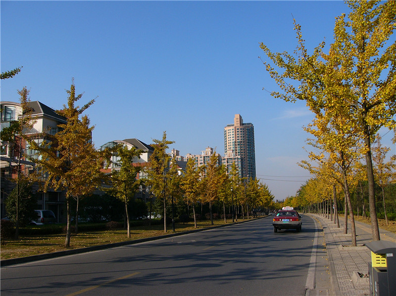 P1250003__.jpg