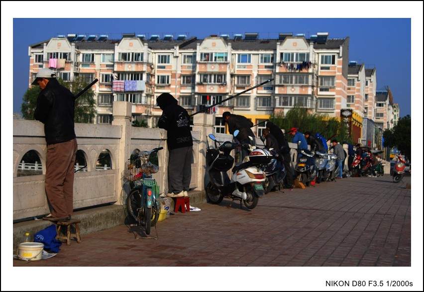 DSC_5637_conew1.JPG