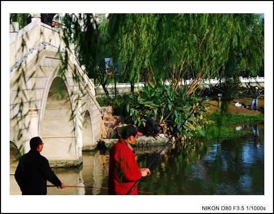 DSC_5651_conew1.JPG