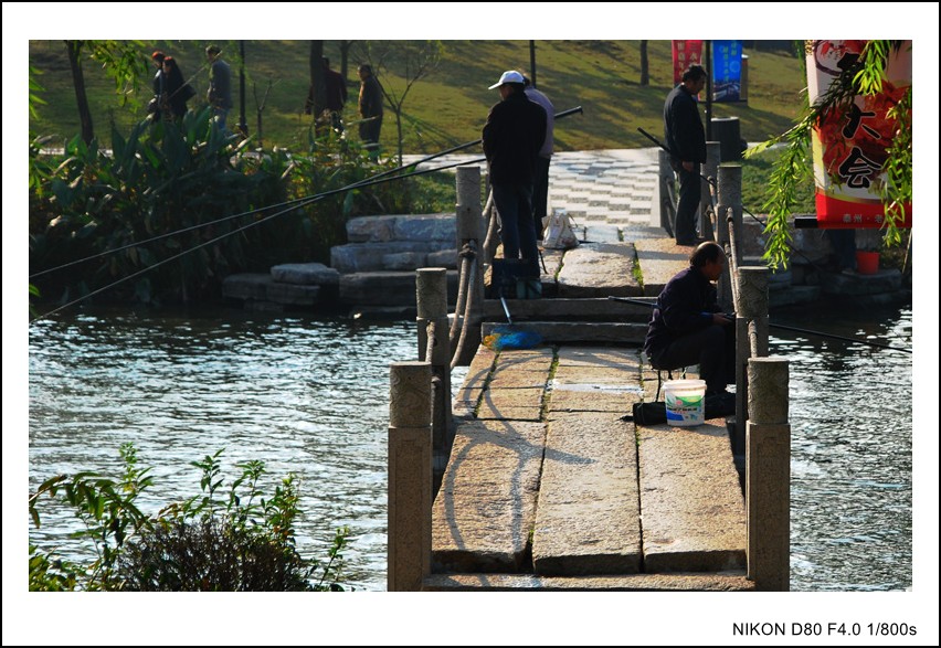 DSC_5658_conew1.JPG