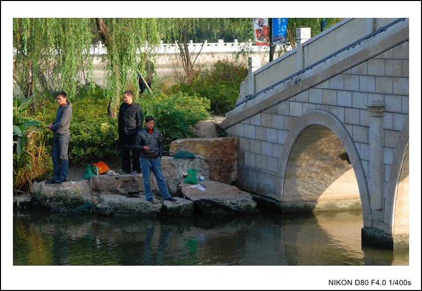 DSC_5654_conew1.JPG