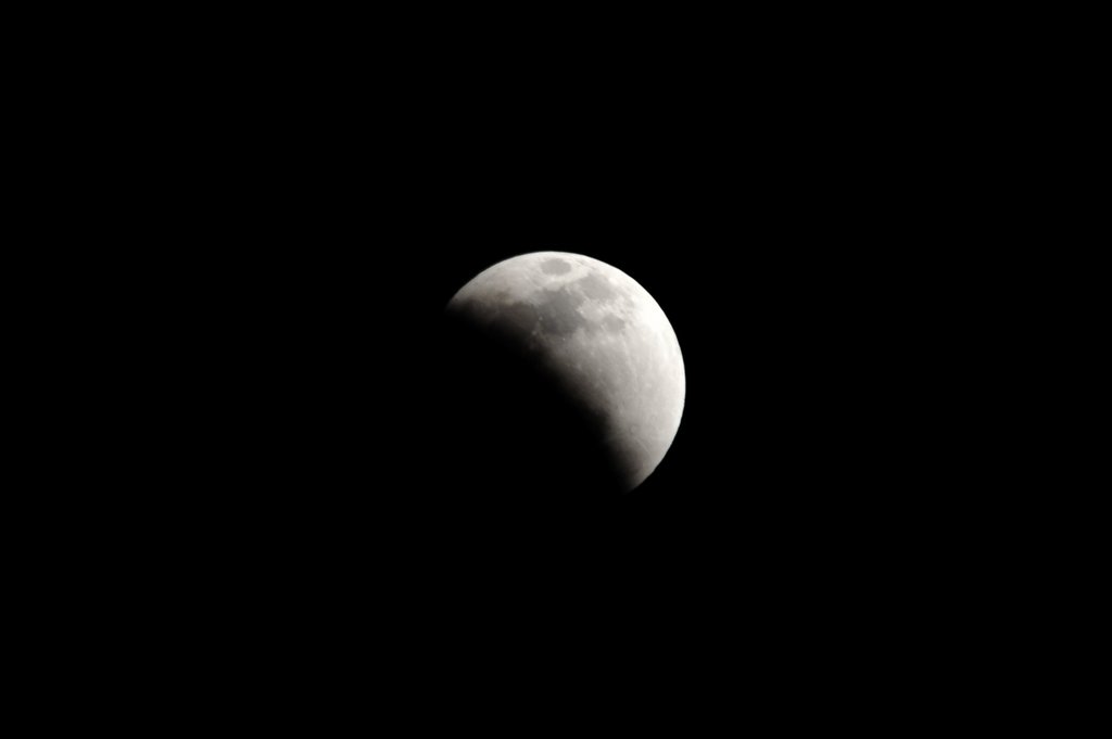 _DSC9208.jpg