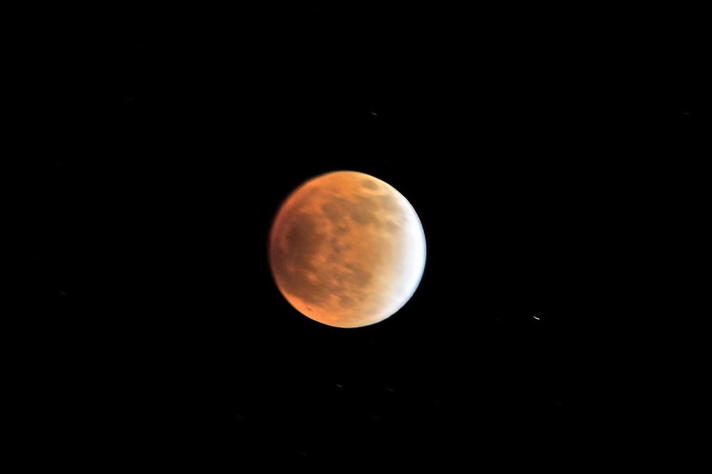 _DSC9232.jpg