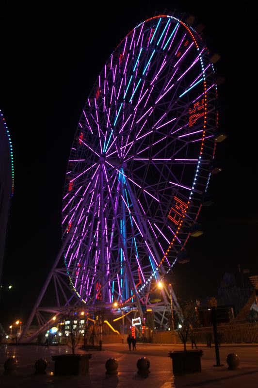 DSC02895.JPG