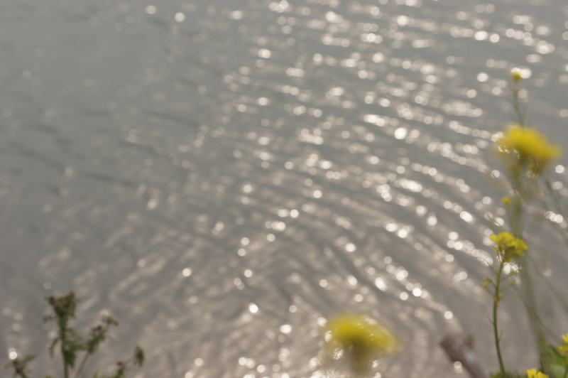 DSC03053.JPG