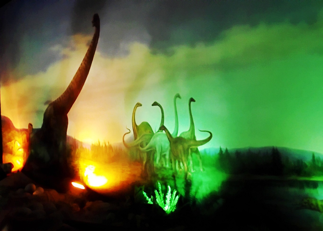 ƹ㡾2DSCF2562_conew1.jpg