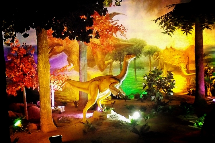 ƹ㡿1DSCF2553_conew1.jpg