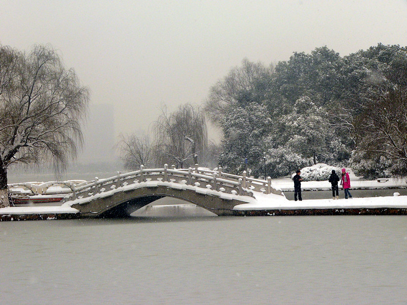 P1180744_.jpg