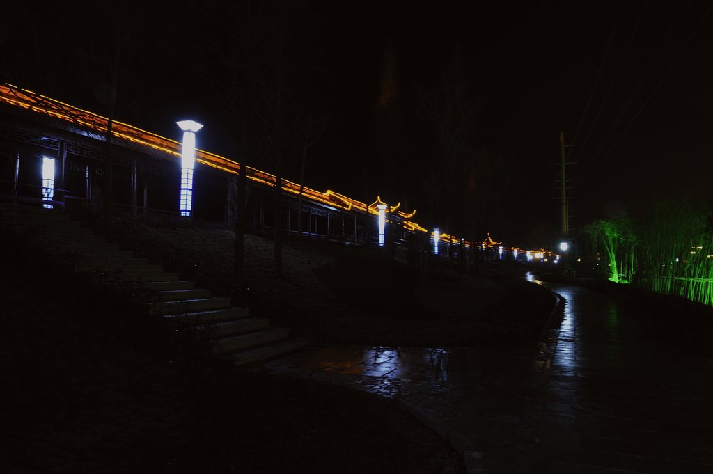 _DSC0417.jpg