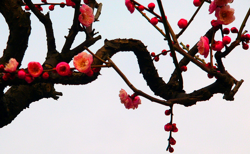 P1260854__.jpg