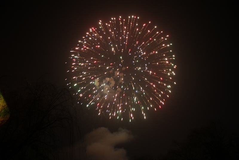  (2) DSC04118.JPG