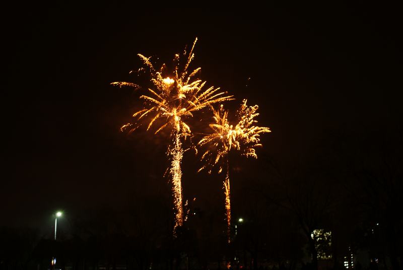  (2) DSC04141.JPG