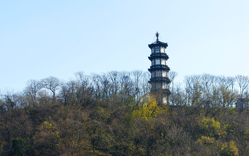 DSC00948.jpg