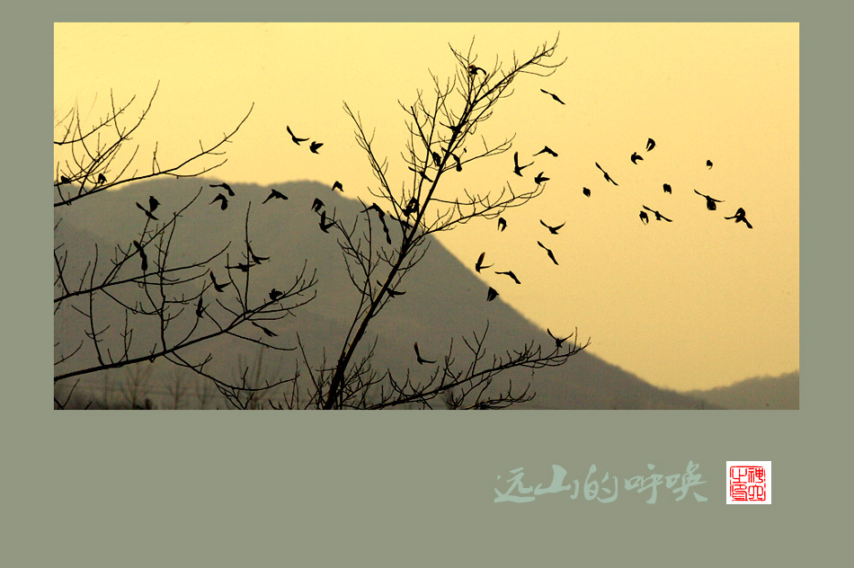 Զɽĺ.jpg
