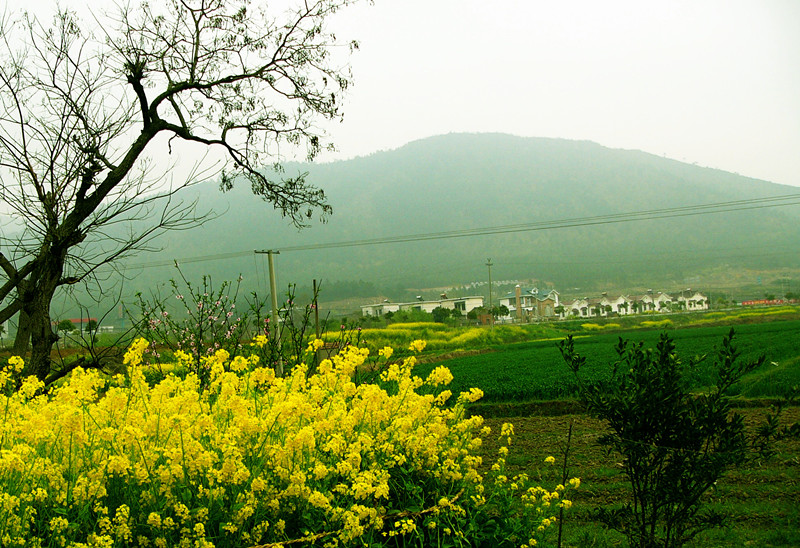 P1270883__.jpg
