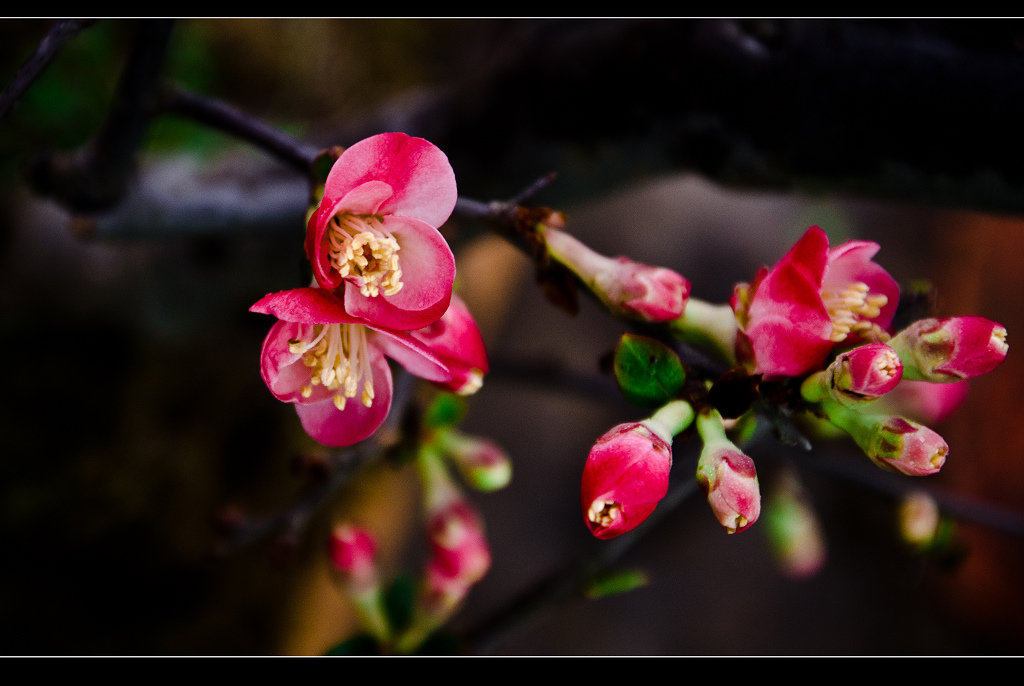 DSC_7283.jpg