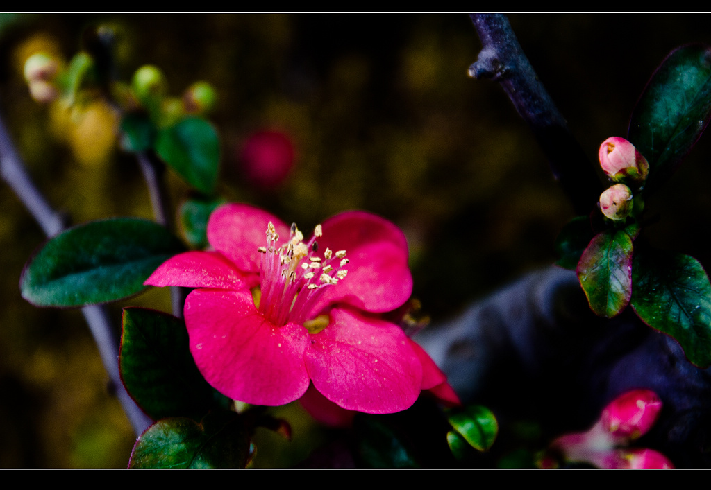 DSC_7282.jpg