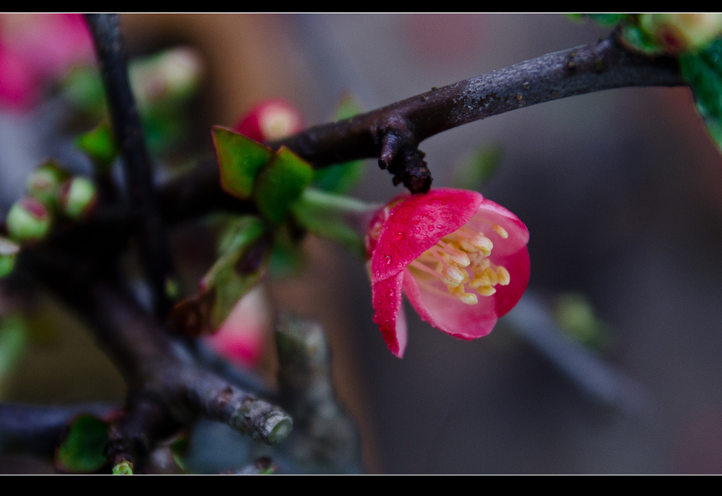 DSC_7289.jpg