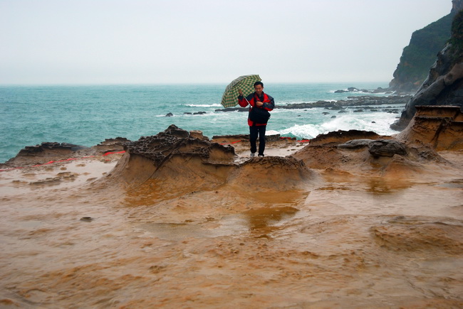 DSC_4313.jpg