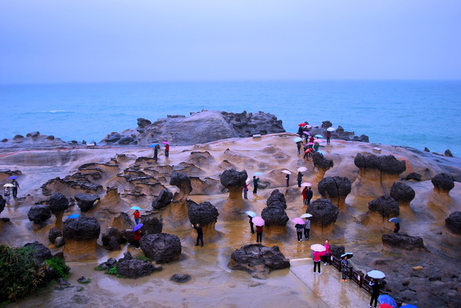 DSC_4188.jpg
