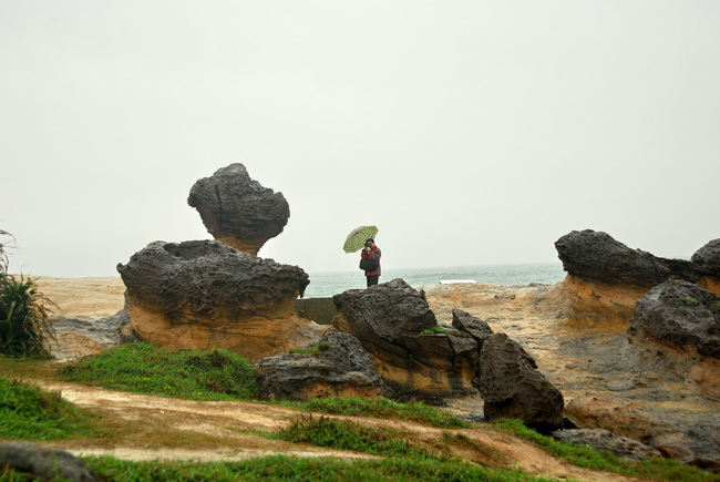 DSC_4303.jpg
