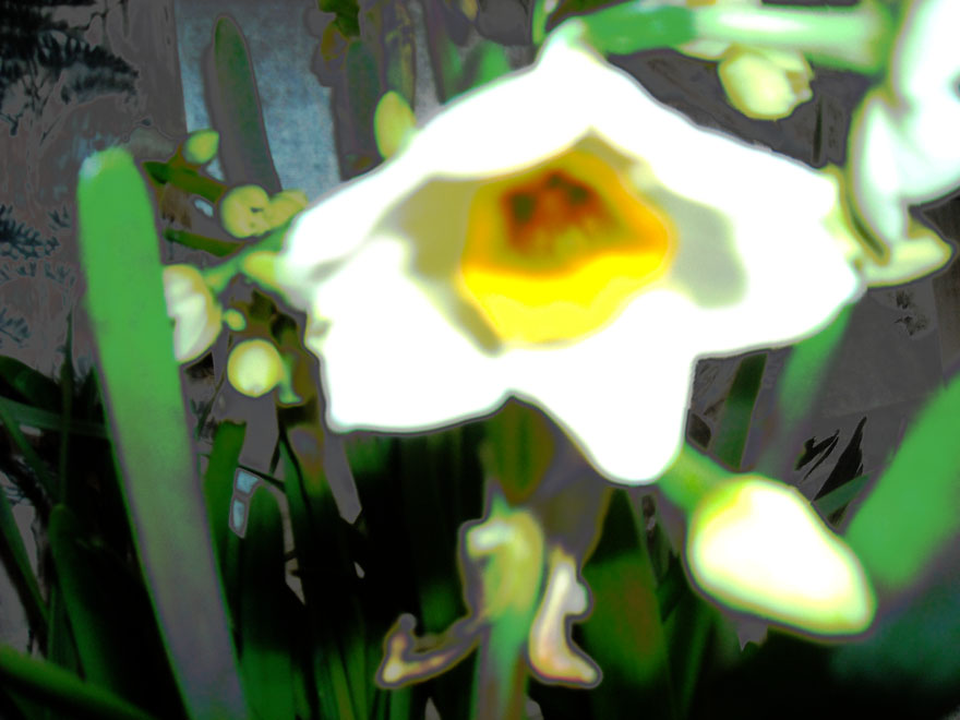 DSCN1062.JPG