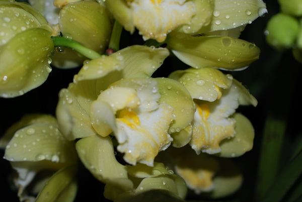 DSC_5124.jpg